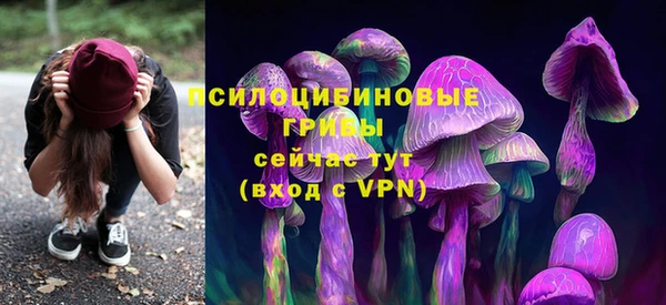 jwh Алзамай